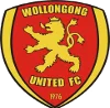 Wollongong United