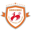 Shaanxi Baoji
