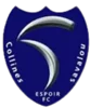 Espoir FC Savalou