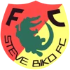 Steve Biko FC
