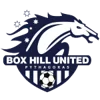 Logo Box Hill Women