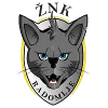 ZNK Radomlje Women