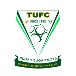 Logo Triangle FC