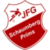 Schaumberg Prims U19