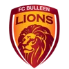 FC Bulleen Lions